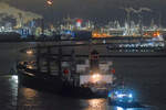 Bulk Carrier PALAWAN (IMO 9379650) am Morgen des 9.2.2022 im Hafen von Rotterdam