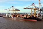 Das Containerschiff MSC ANISHA R. der Reederei MSC am 28.05.17 in Bremerhaven