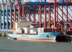 Containerschiff Nysted Maersk am 29.08.16 in Bremerhaven