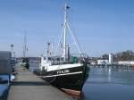 Zu den bekanntesten Ausflugsschiffen im Sassnitzer Hafen zhlt die  M.J.KALININ ,die am 16.Mrz 2013 noch im Heimathafen lag.