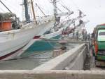 Am 13.09.2008 liegen im Hafen von Jakarta auf der Insel Java / Indonesien diese Frachtschiffe und werden beladen, hier mit Zementscken.