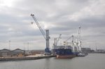 General Cargo Thorco Royal aufgenommen 25.09.2016 im Hafen von Antwerpen
