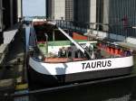 Der Trog mit GMS TAURUS, Hamburg ENI: 02323446, ist jetzt bis zur Hhe der Strae, von wo man als Zuschauer das Schauspiel beobachten kann, angehoben worden; Schiffshebewerk Scharnebeck, 25.08.2011  