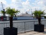 Im Dock 10 von Blohm+ Voss liegt die Athena - ...