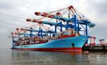 Bremerhaven Containerschiff 'Axel Maersk' am Container - Terminal Bremerhaven.
Lg. 352 m - Br.42 m - Tg. 13 m - TEU 9000 - Baujahr 2003 - 25 kn -
Flagge D�nemark. Aufnahme am 14.06.2009 14.30 Uhr