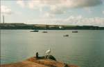 Milford Haven Blick �ber die Bucht v Milford H'vn. Es gibt da einen tollen K�stenwanderweg, der u A an vielen H�gelgr�bern vorbeif�hrt. Die Bucht ist tief und erm�glicht auch den gr��ten Tankern die Einfahrt.