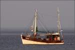 Fischereifahrzeuge HOO 51 ALBATROS am 20.08.2009 beim Krabbenfischen in der Jade s�dlich der Insel Mellum.