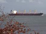 Stella-Gemma (IMO-9502726;L=180;B=28mtr) f�hrt im ...  innviertel 18.10.2009