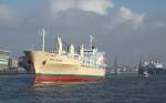Hamburg Hamburg am 5.2.03 - WILD COSMOS l�uft aus, lauter K�hlcontainer transportierend. Normale K�hlschiffe werden wohl immer seltener.
