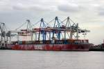 OOCL Montreal am Burchardkai ...  Stefan Haase 17.11.2009