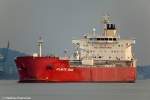 Die Atlantic Grace auf der Elbe bei Wedel(H). am 30.11.09. ...