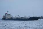 Die Fairchem Steed IMO-Nummer:9311256 ...  Bj�rn-Marco Halmschlag 31.01.2010