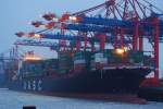 Die Hatta IMO-Nummer:9349502 Flagge:Vereinigte Arabische Emirate L�nge:306.0m Breite:40.0m im Hamburger ...