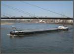 MS La Primavera aus den Niederlanden auf dem Rhein in ...