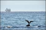 . An der Ostsee ...  Gisela, Matthias und Jonas Frey 18.09.2011