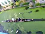 Rudern (3er) am Oude-Rijn bei Alphen aan den Rijn;110903  ...