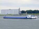 SOLA D ISCHIA(EUR-Nr:06002990; L=85; B=9mtr.; 1507t; Bj.1971) steuert auf der Westerschelde ...