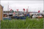 Fischereifahrzeuge Am Fischereianleger im Hafen Rerik liegen mehrere Fischerboote. Am rechten Bildrand sind u.a RER 50 HEIMW�RTS und RER 35 zu sehen. 15.06.2007