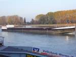 Bei Worms, ...  Yannick Hauser 03.10.2006