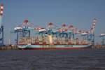 Das riesige Containerschiff  Gerd Maersk  liegt am 6.7.2013 am 
Container Kai in Bremerhaven. Foto von der rckwrtigen Seite des
Schiffes. Es gibt auch noch die Vorderseite!