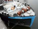 Die MS  Diana  liegt am 29.01.2008 im Alberthafen, Dresden. - Bugansicht