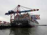 HANJIN NETHERLANDS  (IMO 9408841) am 21.9.2012, Hamburg, Waltershofer Hafen, Liegeplatz Predhlkai /  Containerschiff / BRZ 113.515 / La 349,65 m, B 45,6 m, Tg 15,2 m / 9954 TEU / 1 Diesel, B&W,