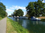 Ausflugsboote und Hausboote am Rhein-Rhone-Kanal bei Plobsheim/Elsa, Okt.2016