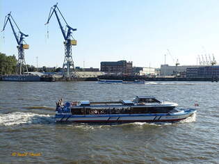 NELLY ABICHT (ENI 05802660) am 15.9.2023, Hamburg Elbe, Hamburg Elbe Hhe Landungsbrcken /    Ex-Name: IRENE ABICHT (bis 2010)  Rundfahrtbarkasse / La 19,99 m, B 6,49 m, Tg 1,3 m /