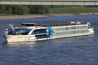 MS VIVA TIARA auf dem Rhein in Kln am 25.04.2025