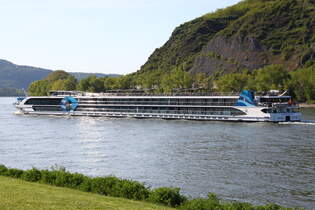 Kabinenfahrgastschiff VIVA MOMENTS von Scylla Tours AG, gemeldet in Basel/CH, ENI 07002085, Bj  2017, fhrt am 30.04.2025 rheinabwrts an Andernach vorbei.
