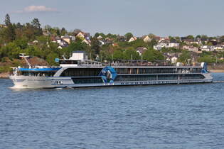 Kabinenfahrgastschiff VIVA MOMENTS von Scylla Tours AG, gemeldet in Basel/CH, ENI 07002085, Bj  2017, fhrt am 30.04.2025 rheinabwrts an Andernach vorbei.