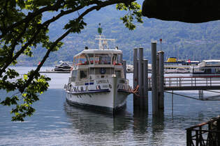 Beschaulich unter nahen Bumen liegt hier am 24.5.2025 die Capriolo vor Locarno am Lago Maggiore am Steg und wartet auf ihren nchsten Einsatz.