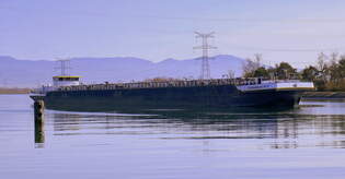 TMS Conquest, rheinabwrts in Wartestellung vor der Staustufe Vogelgrn/Elsa, L=125m, Tonnage 4030t, 2400 PS, Baujahr 2005, Heimathafen Rotterdam, Mrz 2025