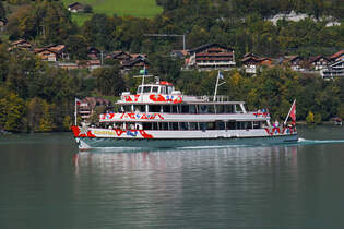 Motorschiff Jungfrau mit Baujahr 1954 fhrt am 11.10.2024 zur Schiffsstation bei Bnigen.