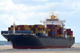 Die MSC ROSHNEY V IMO-Nummer:9337676 Flagge:Liberia Lnge:294.0m Breite:32.0m Baujahr:2007 Bauwerft:Hyundai Heavy Industries,Ulsan Sdkorea beim einlaufen nach Hamburg aufgenommen vom Ponton