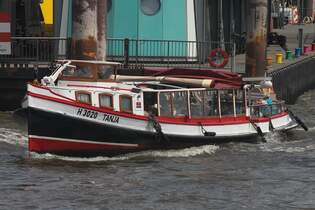 Hafenbarkasse TANJA (H3020) auf der Elbe im Hamburger Hafen (Hhe Anleger Altona/Fischmarkt) am 11.06.2025