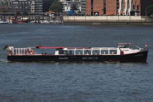 Hafenbarkasse HANSA; Eigner/Betreiber: Blow; Aufnahmeort: Elbe/Hafen Hamburg, Deutschland; Datum: 01.07.2025; Info:  (ENI 05100930) La 17,65 m, B 3,72 m, Tg 1,36 m / 70 Pass.