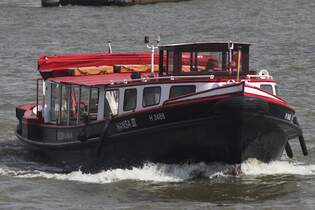 Hafenbarkasse HANSA III; Eigner/Betreiber: Blow; Aufnahmeort: Elbe/Hafen Hamburg, Deutschland; Datum: 11.07.2025; Info: (H 3488) La 19,85 m, B 4,58 m, Tg 1,57 m / 1 Diesel, 136 kW, 185 PS