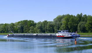 TMS RP Bern, rheinaufwrts vor Breisach, Heckansicht, April 2025