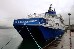 Das 28m lange Wahlbeobachtungsboot LILJA am 29.05.25 in Akureyri.