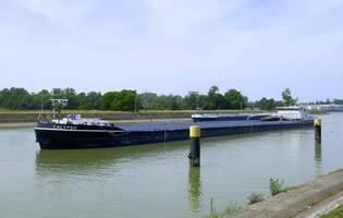 GMS Calypso, rheinaufwrts in Warteposition vor der Staustufe Vogelgrn/Elsa, Juni 2025