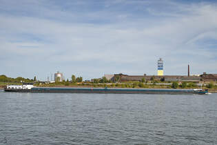 Das Gtermotorschiff VECTOR (ENI: 02331015) fhrt rheinabwrts, so gesehen Ende September 2025 in Duisburg.