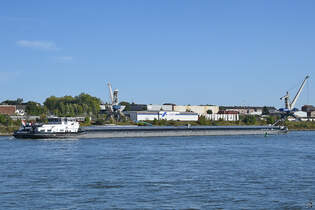 Im Bild das Frachtschiff MILANO (ENI: 02323297), welches Ende September 2025 auf dem Rhein bei Duisburg-Hochfeld unterwegs war.