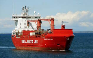 Das 114m lange Frachtschiff MALIK ARCTICA am 30.05.25 in Reykjavik