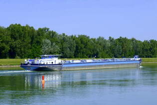 TMS Maxy, rheinabwrts nach der Staustufe Marckolsheim/Elsa, Heckansicht, Juni 2025
