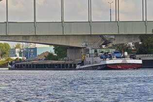 BOADICEA; GMS; ENI 02321611; BJ 1971; L 84,88 m; B 9,50 m; 1510 t; Flagge NL; zu Tal auf der Maas in Maastricht.