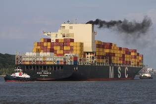 Containerfrachtschiff MSC MAEVA (IMO 9289128); Eigner/Betreiber: MSC; Datum: 08.08.2025; Aufnahmeort: Elbe/Hafen Hamburg, Deutschland.