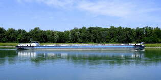 GMS Maxy, ENI 02312636, rheinabwrts nach Breisach, Juni 2025