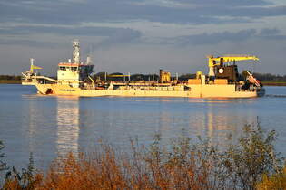 VITUS BERING , Saugbagger , IMO 9573062 , Baujahr 2012 , 119 x 23 m , 22.10.2025 , Lhe - Deich