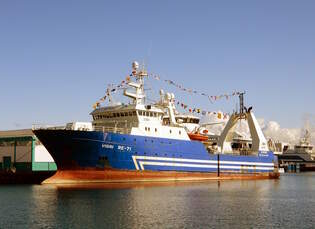 Das 66m lange Fangschiff VIGRY RE71 (IMO 9048691) am 31.05.2025 im Stadthafen von Reykjavik.